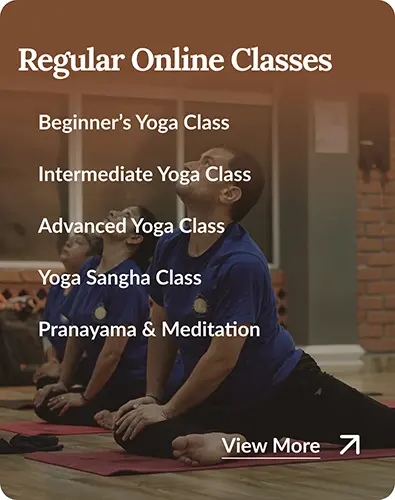 Regular Online Classes