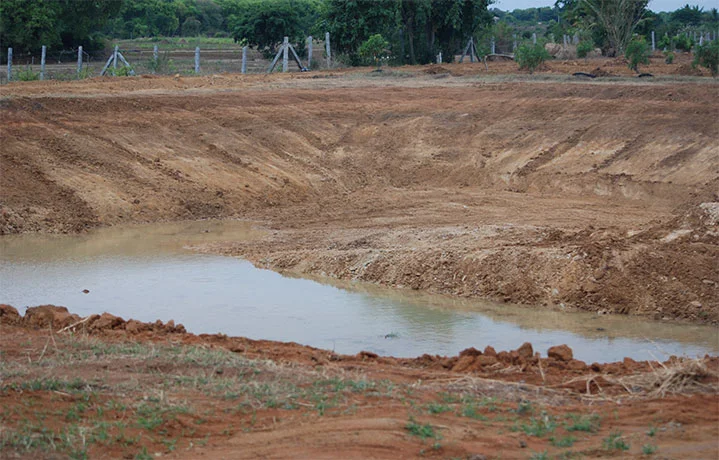 Water Management at The Sacred Grove